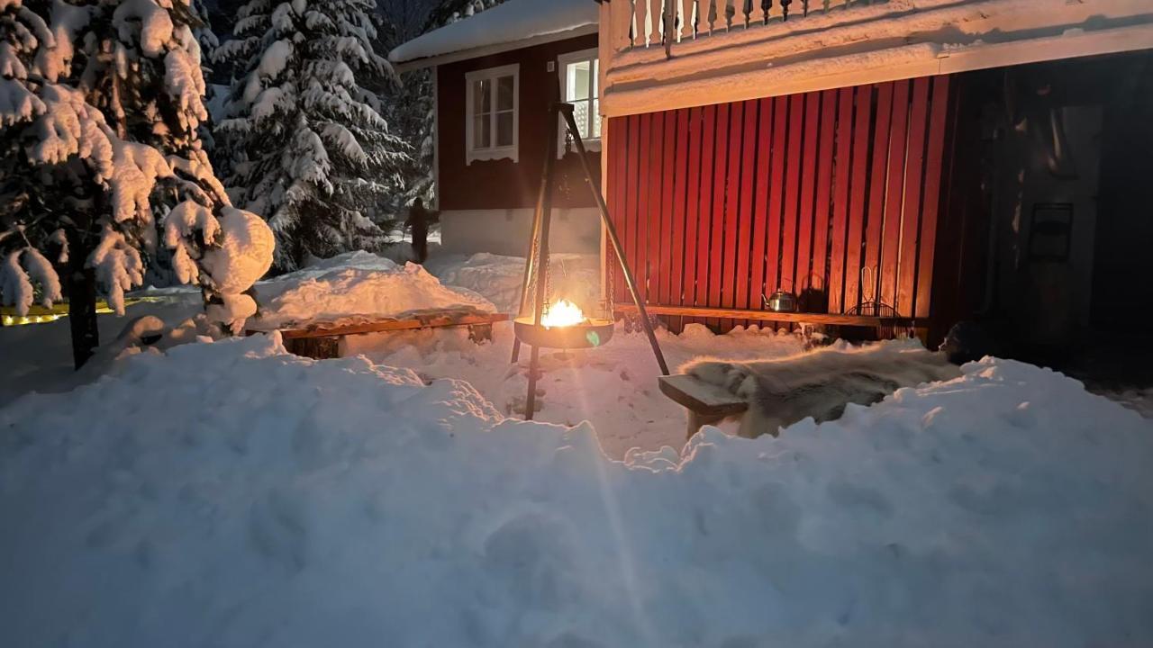 Mountain Cabin Lofsdalen Dış mekan fotoğraf
