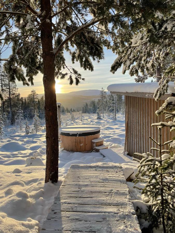 Mountain Cabin Lofsdalen Dış mekan fotoğraf