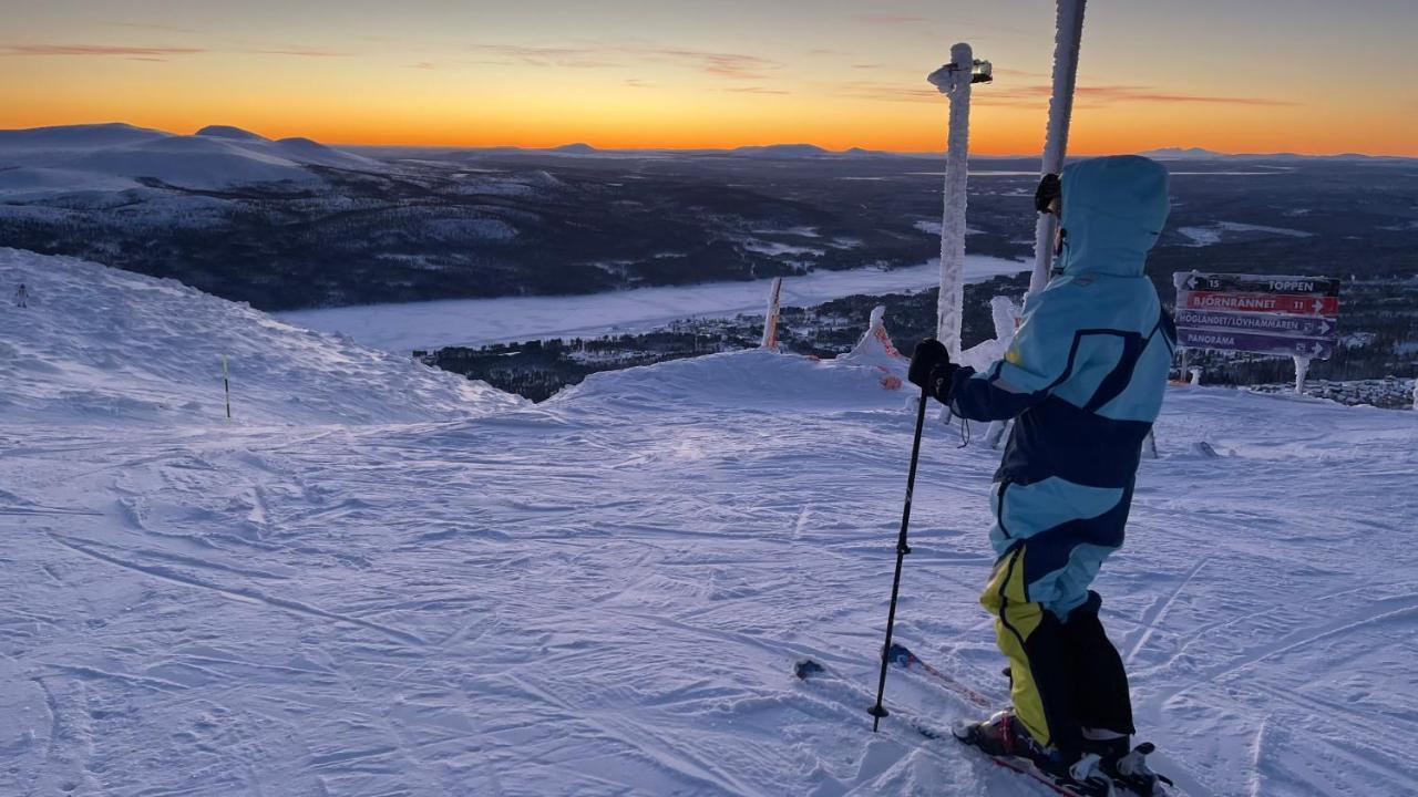 Mountain Cabin Lofsdalen Dış mekan fotoğraf