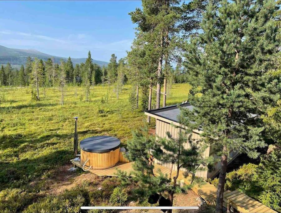 Mountain Cabin Lofsdalen Dış mekan fotoğraf