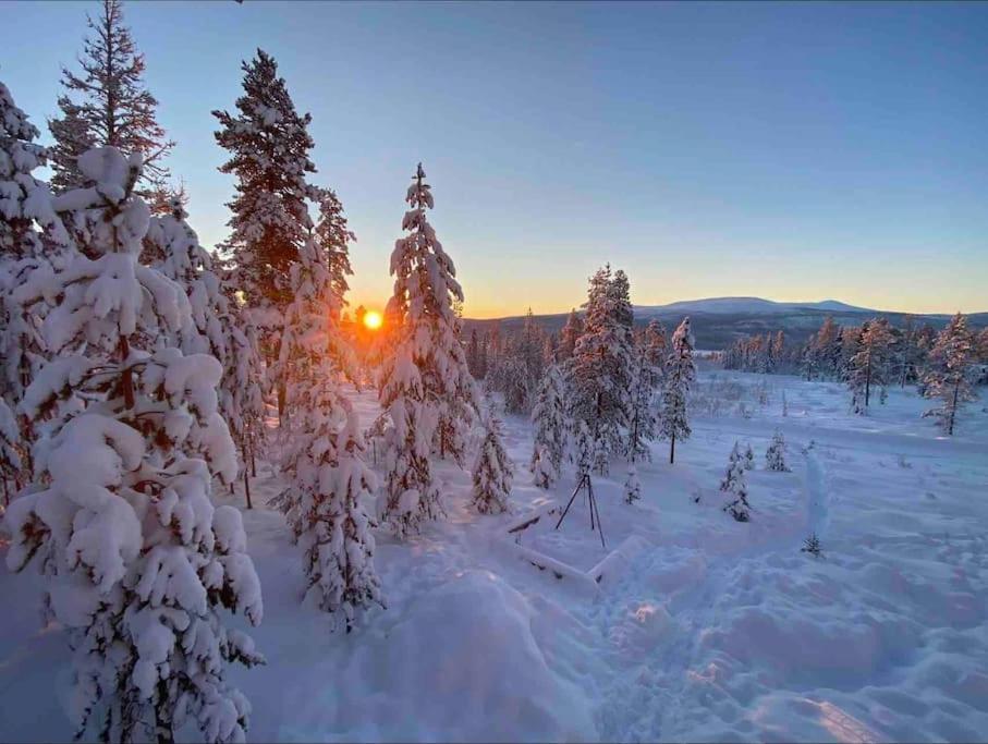 Mountain Cabin Lofsdalen Dış mekan fotoğraf