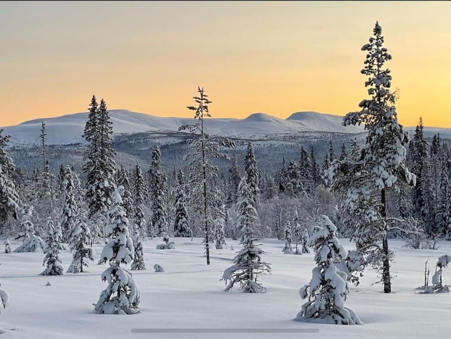 Mountain Cabin Lofsdalen Dış mekan fotoğraf