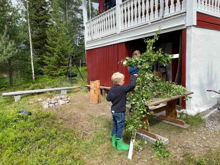 Mountain Cabin Lofsdalen Dış mekan fotoğraf