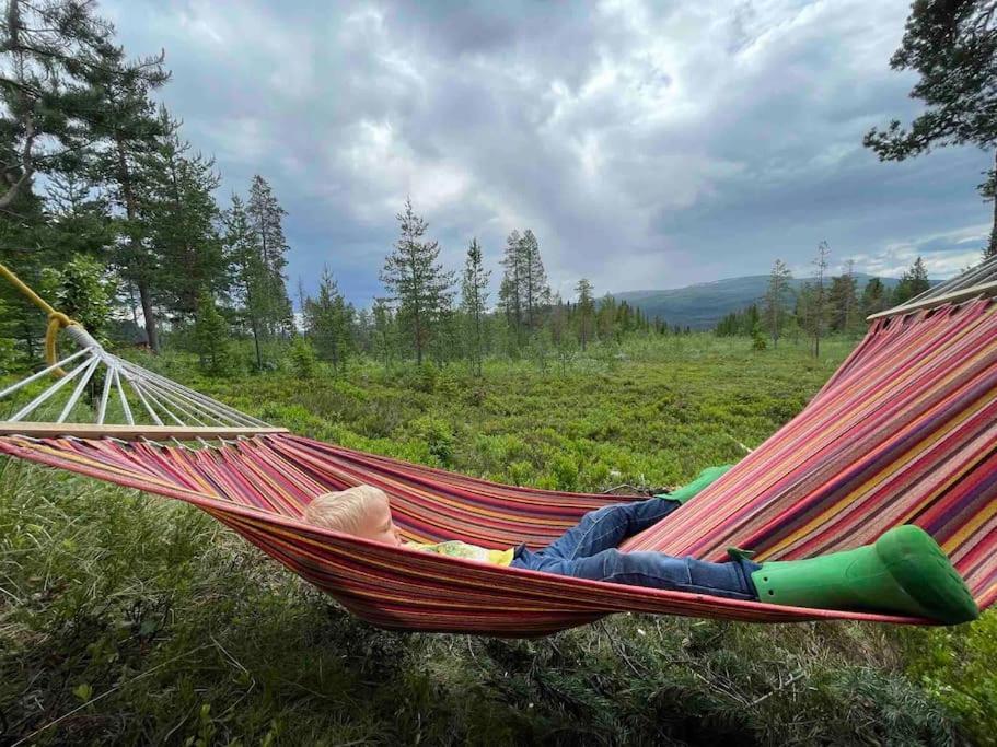 Mountain Cabin Lofsdalen Dış mekan fotoğraf