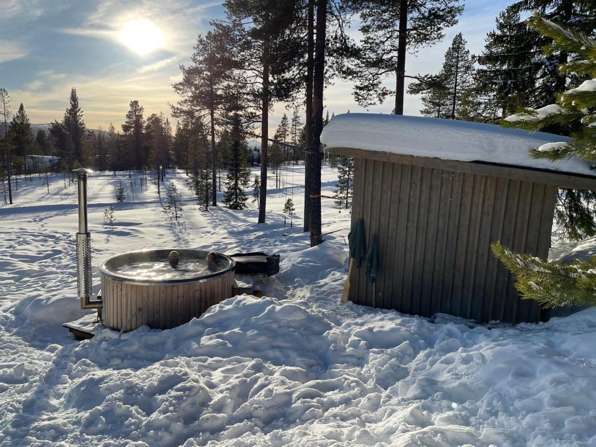 Mountain Cabin Lofsdalen Dış mekan fotoğraf