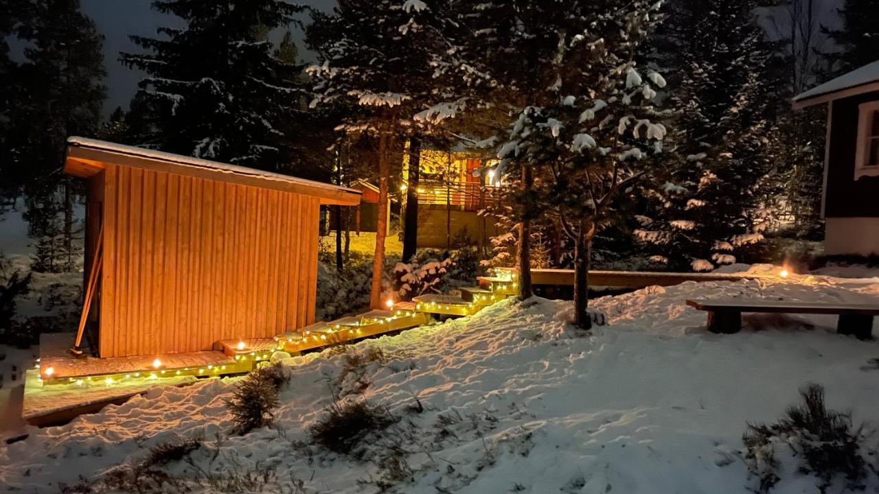 Mountain Cabin Lofsdalen Dış mekan fotoğraf