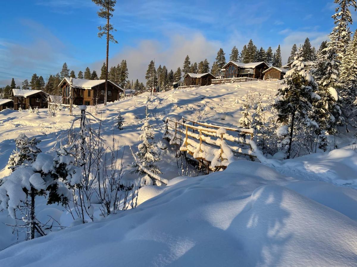 Mountain Cabin Lofsdalen Dış mekan fotoğraf