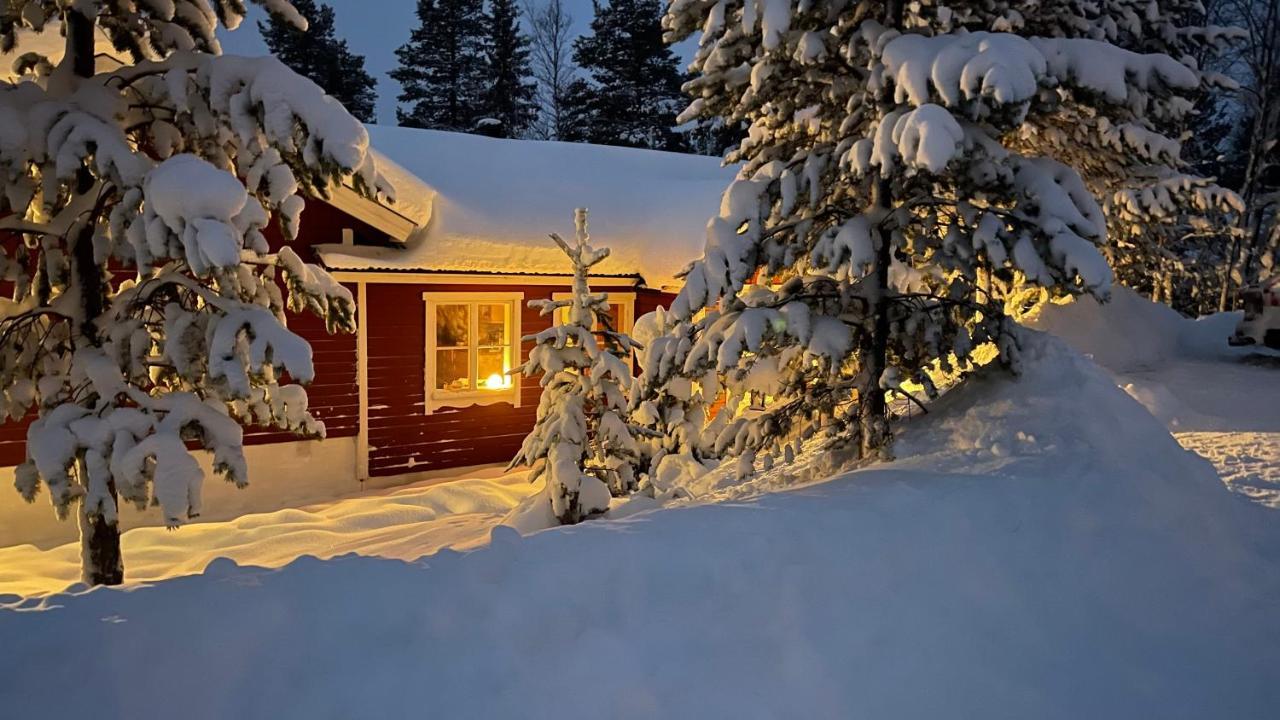 Mountain Cabin Lofsdalen Dış mekan fotoğraf