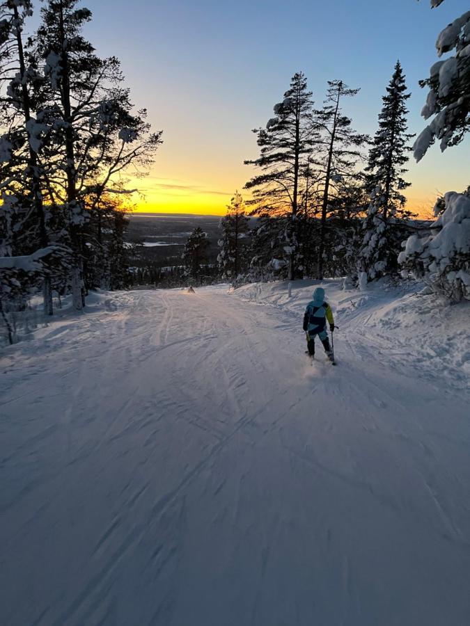 Mountain Cabin Lofsdalen Dış mekan fotoğraf
