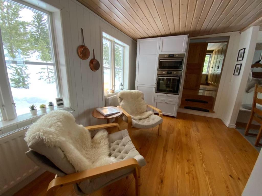 Mountain Cabin Lofsdalen Dış mekan fotoğraf
