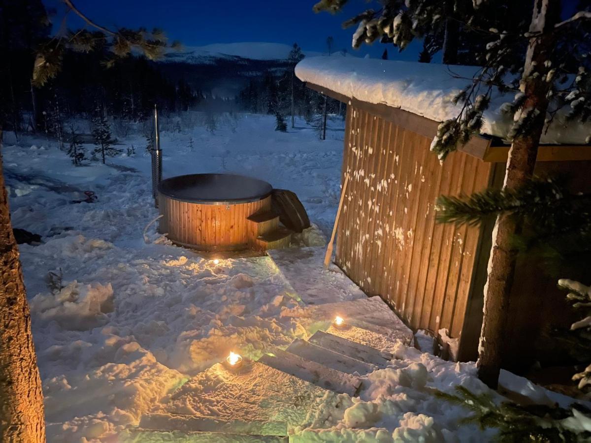 Mountain Cabin Lofsdalen Dış mekan fotoğraf