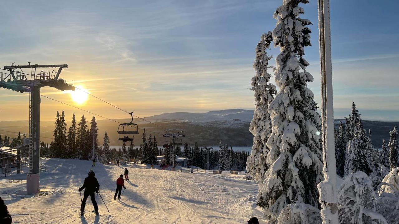 Mountain Cabin Lofsdalen Dış mekan fotoğraf