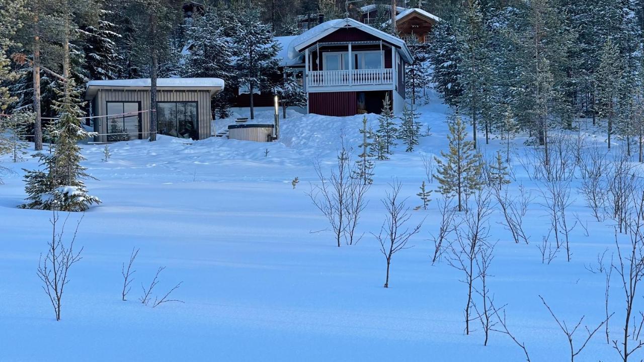 Mountain Cabin Lofsdalen Dış mekan fotoğraf