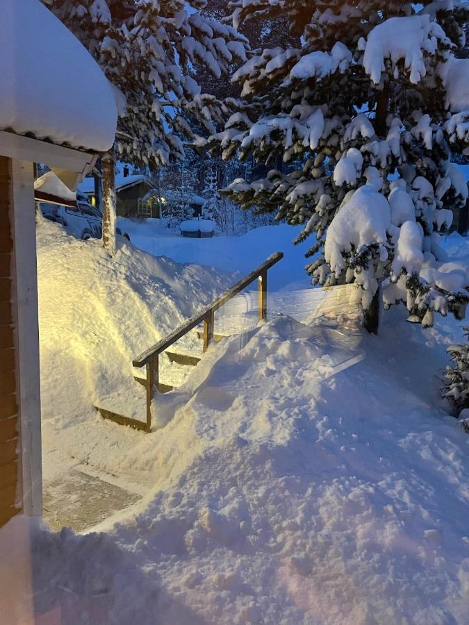 Mountain Cabin Lofsdalen Dış mekan fotoğraf