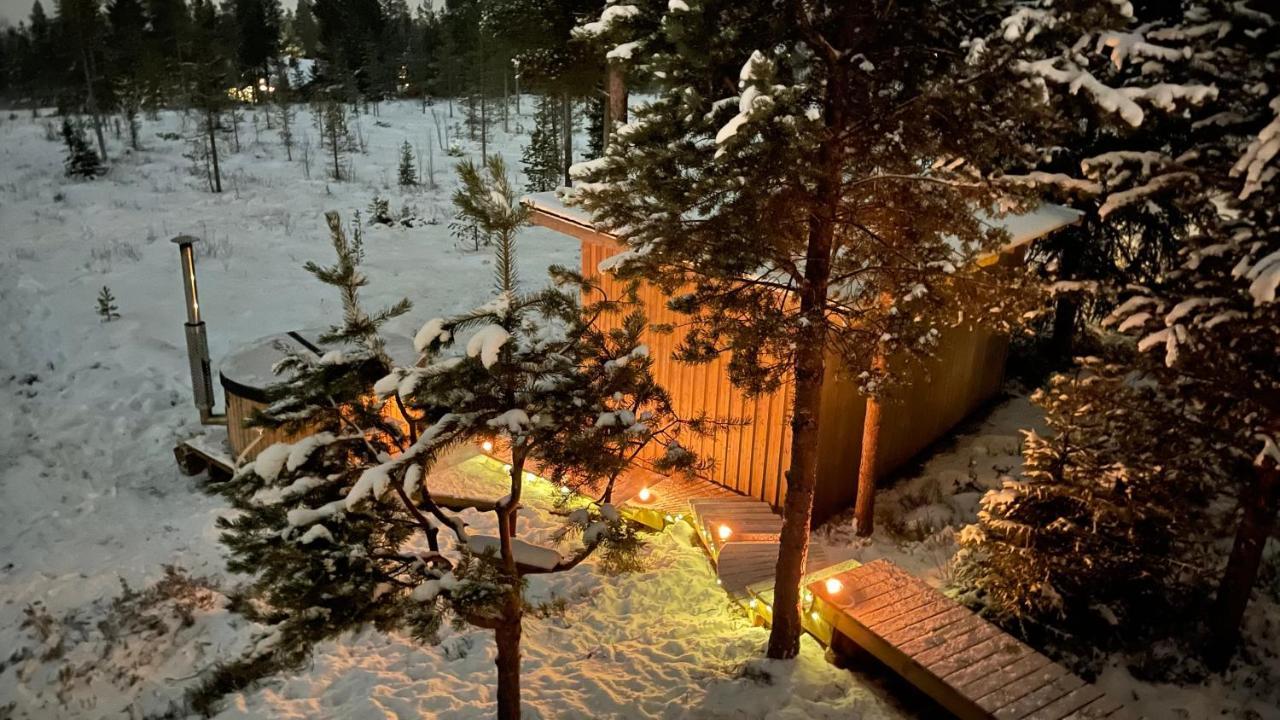 Mountain Cabin Lofsdalen Dış mekan fotoğraf