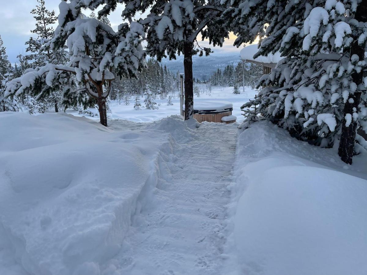 Mountain Cabin Lofsdalen Dış mekan fotoğraf