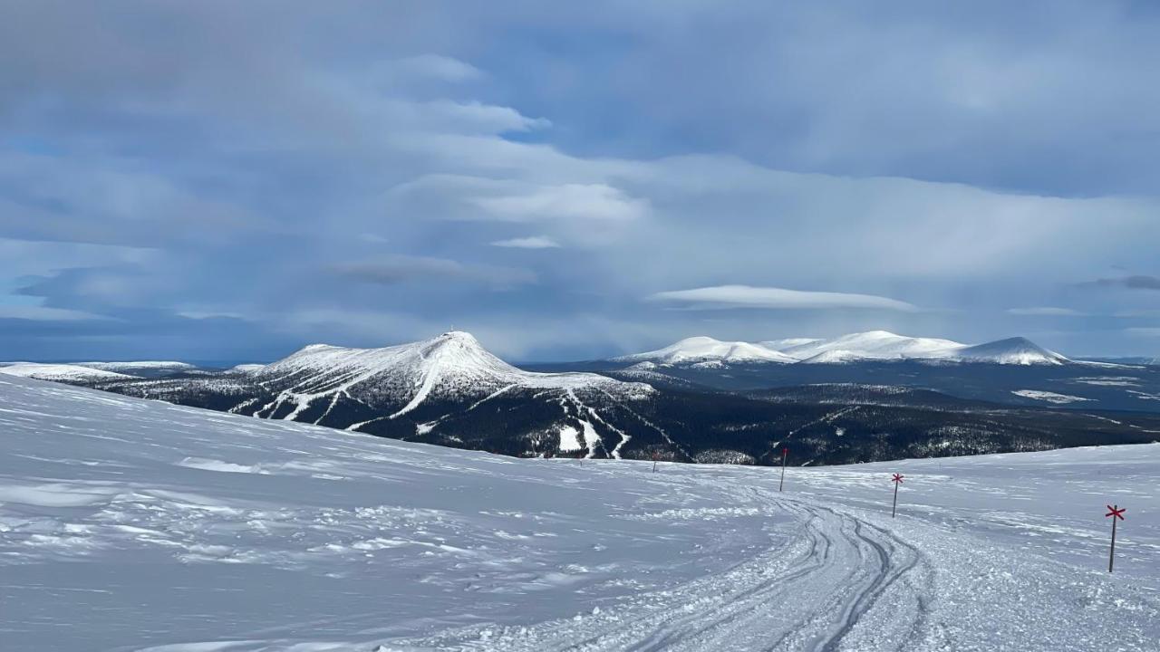 Mountain Cabin Lofsdalen Dış mekan fotoğraf