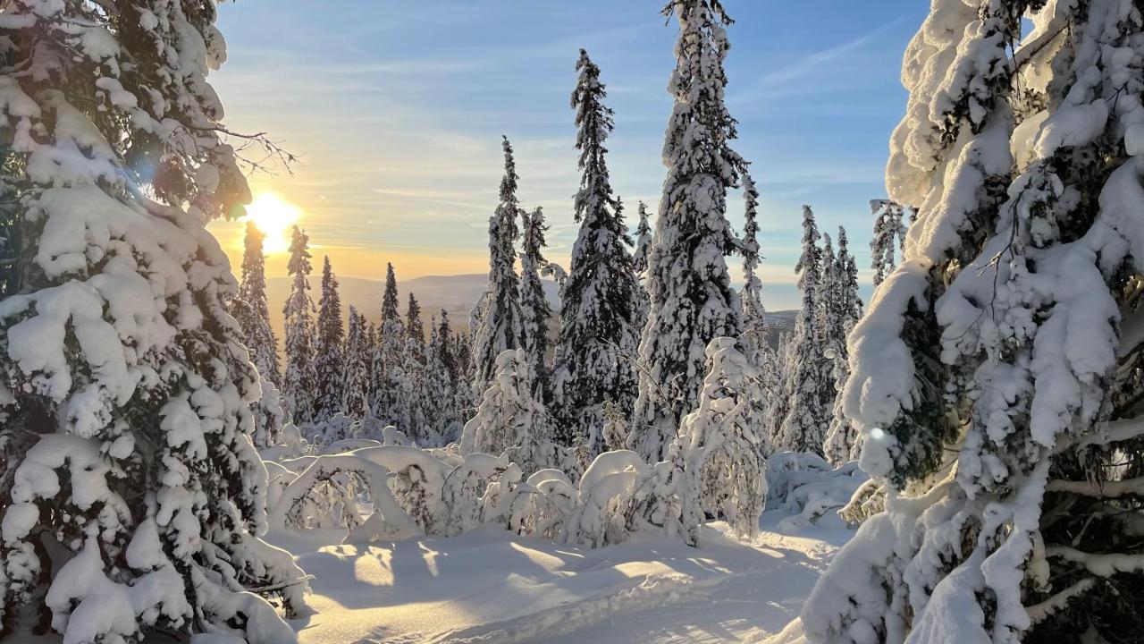 Mountain Cabin Lofsdalen Dış mekan fotoğraf