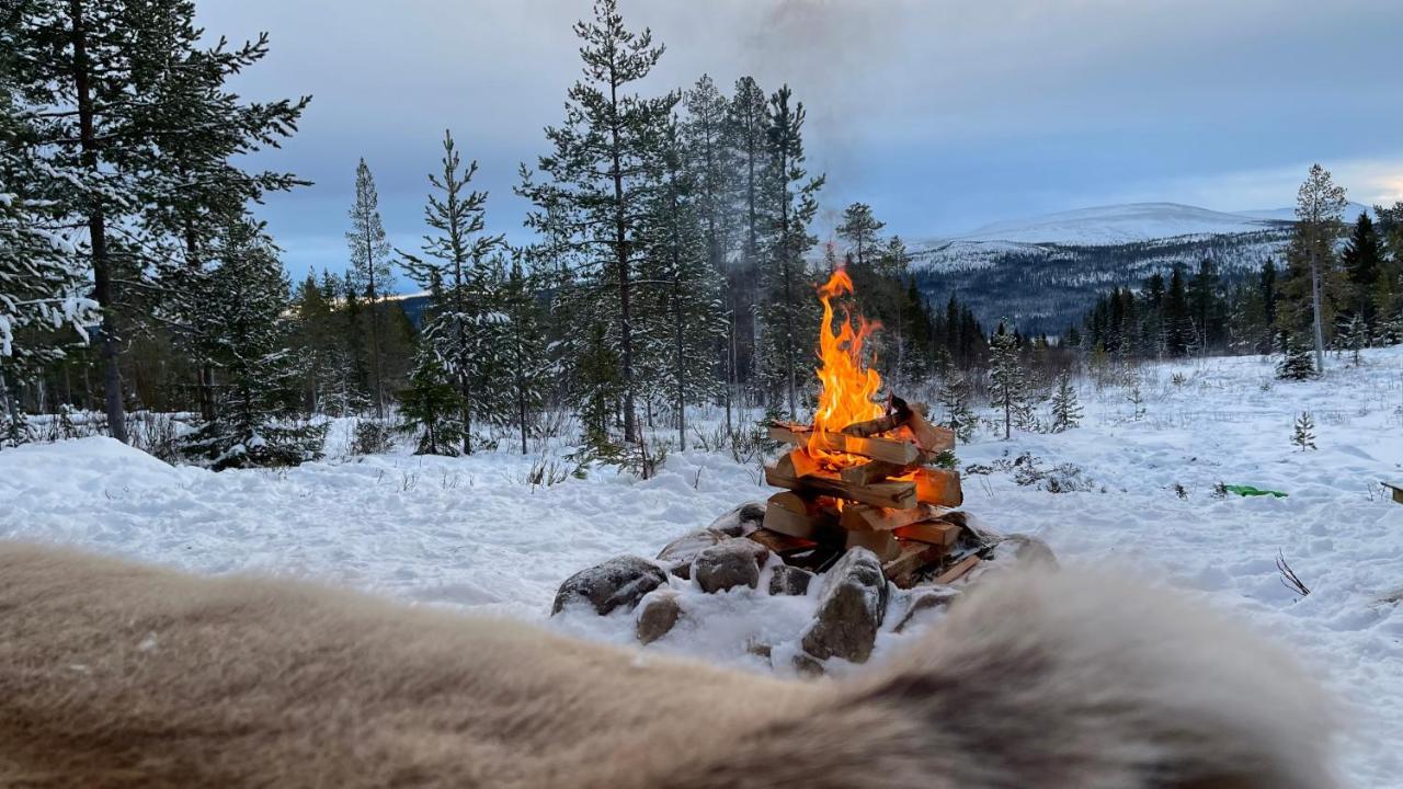 Mountain Cabin Lofsdalen Dış mekan fotoğraf